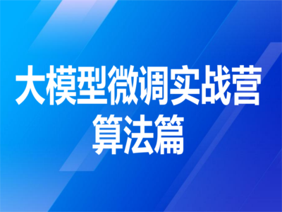 贪心科技大模型微调实战营算法篇|无密|完结|MP4