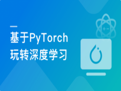 PyTorch深度学习开发医学影像端到端判别项目|MK|完结|MP4