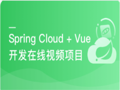 SpringCloud前后端分离开发企业级在线视频系统|MK|完结