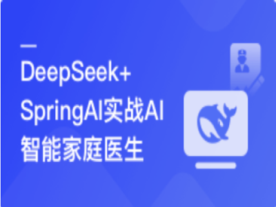 DeepSeek+SpringAI实战AI家庭医生应用|MK|MP4|完结