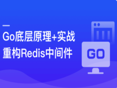 深入Go底层原理重写Redis中间件实战|MK|完结|MP4