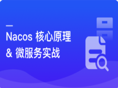 Nacos核心原理解读高性能微服务系统实战|MK|完结|MP4