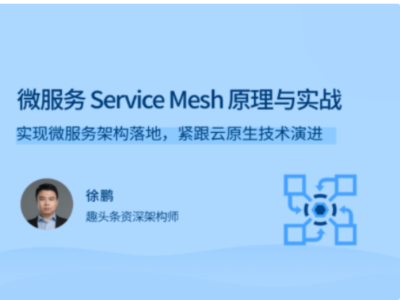 拉勾教育-微服务Service Mesh原理与实战