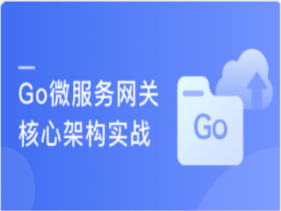 Go开发企业级微服务网关项目|MK|完结