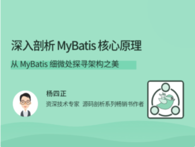 拉勾教育-深入剖析 MyBatis 核心原理
