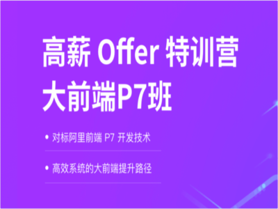 高薪Offer特训营大前端P7班|MP4|完结|拉勾