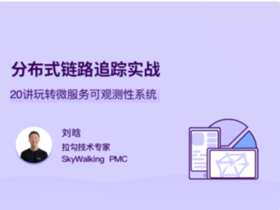 拉勾教育-分布式链路追踪实战
